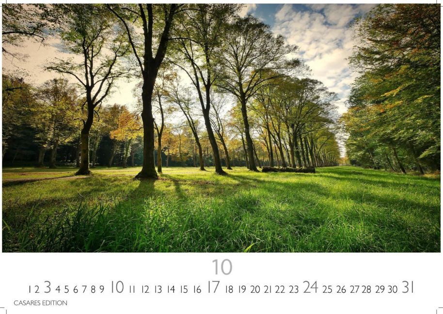 InsideView 10