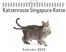 Katzenrasse Singapura-Katze - Leon Wolf