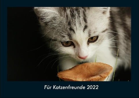 Für Katzenfreunde 2022 Fotokalender DIN A4 - Tobias Becker