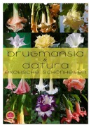 Cover-Bild zum Titel 'Brugmansia & Datura - Exotische Schönheiten (Wandkalender 2026 DIN A2 hoch), CALVENDO Monatskalender' von 'Martina Cross'