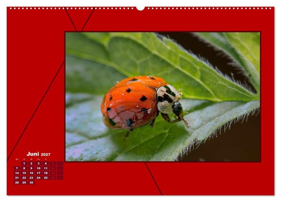 InsideView 10