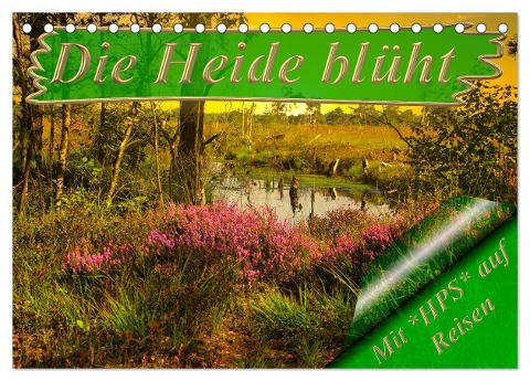 Die Heide blüht (Tischkalender 2024 DIN A5 quer), CALVENDO Monatskalender - Heinz-Peter Schwerin