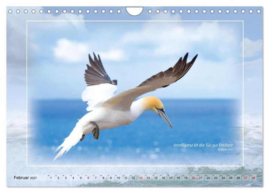 InsideView 7