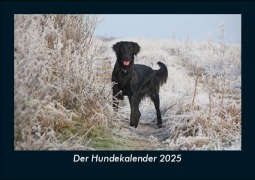 Cover-Bild zum Titel 'Der Hundekalender 2025 Fotokalender DIN A5' von 'Tobias Becker'