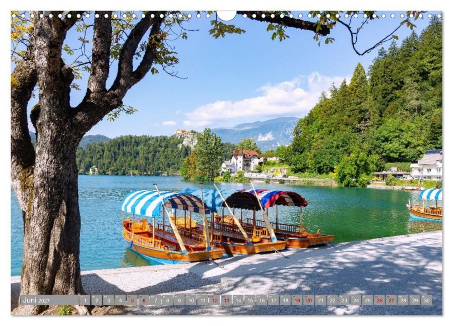 InsideView 11