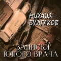 Cover-Bild zum Titel 'A Young Doctor's Notebook' von 'Mikhail Bulgakov'