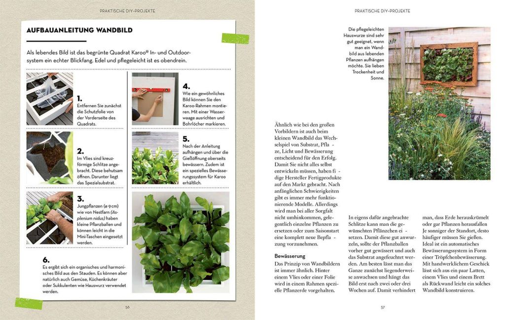 InsideView 4