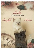 Liebe auf den ersten Blick . Ragdoll Kitten (Wandkalender 2024 DIN A3 hoch), CALVENDO Monatskalender - Marion Reiß-Seibert