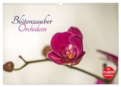 Cover-Bild zum Titel 'Blütenzauber Orchideen (Wandkalender 2027 DIN A3 quer), CALVENDO Monatskalender' von 'Andrea Potratz'