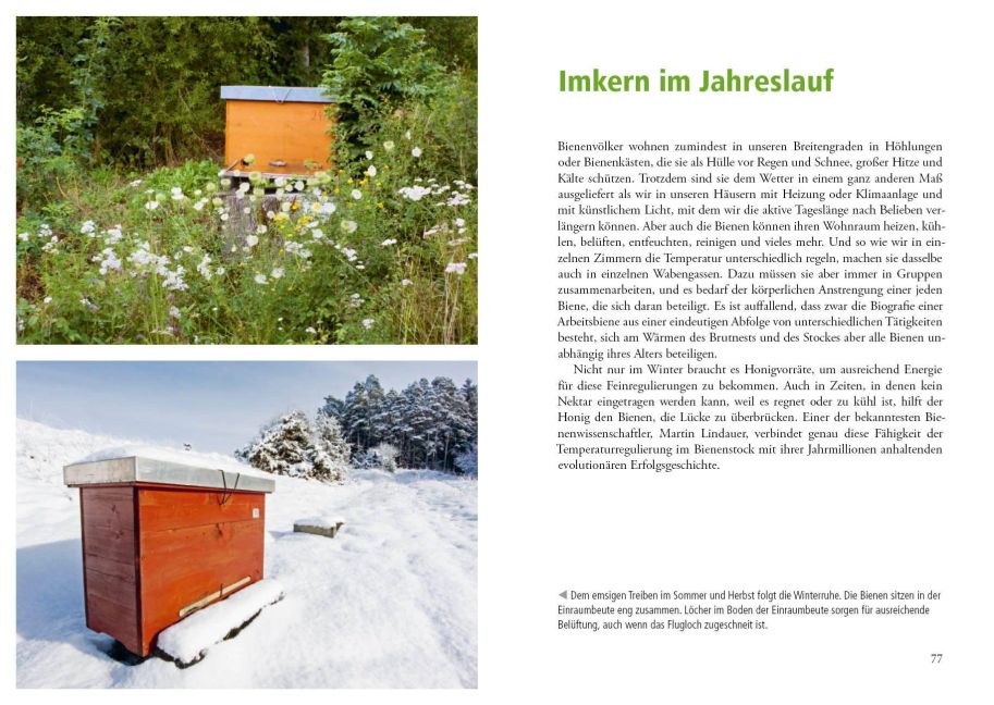 InsideView 1