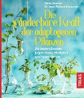 Die wunderbare Kraft der adaptogenen Pflanzen - Petra Hirscher