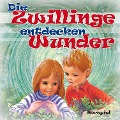 Cover-Bild zum Titel 'Die Zwillinge entdecken Wunder' von 'Margret Birkenfeld, Margret Birkenfeld, Nikolaus Zinzendorf, Agnes Peters, Luise Lehmann'
