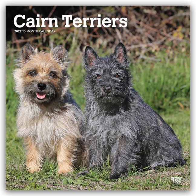 Cairn Terriers 2027 - 16-Monatskalender - Browntrout Publishers