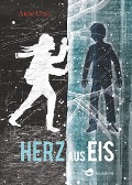 Cover-Bild zum Titel 'Herz aus Eis' von 'Anne Ursu'