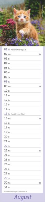 InsideView 8