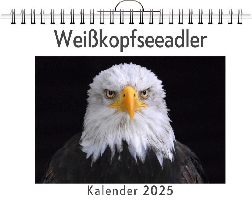 Weißkopfseeadler - Emilia Peters