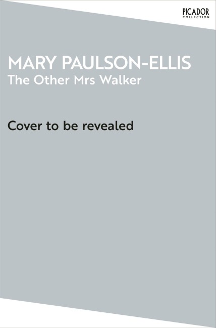 The Other Mrs Walker - Mary Paulson-Ellis