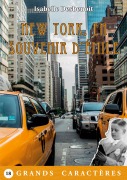 Cover-Bild zum Titel 'New York, en souvenir d'Émile' von 'Isabelle Desbenoit'