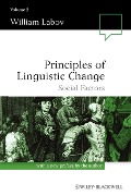 Principles of Linguistic Change, Volume 2 - William Labov