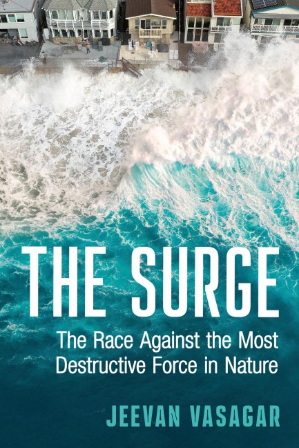 The Surge - Jeevan Vasagar