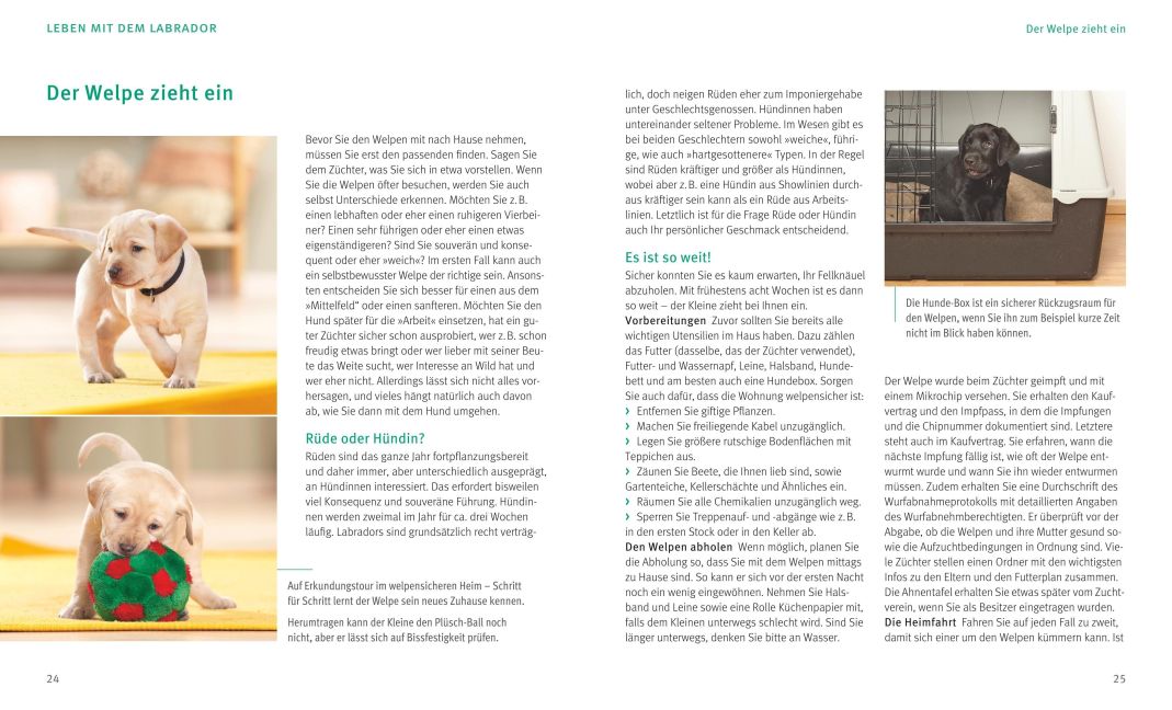 InsideView 4