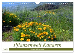 Cover-Bild zum Titel 'Pflanzenwelt Kanaren (Wandkalender 2026 DIN A4 quer), CALVENDO Monatskalender' von '(C) www. teneriffaurlaub. es by Rainer Hasanovic'