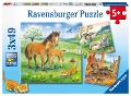 Cover-Bild zum Titel 'Kuschelzeit. Kinderpuzzle 3 x 49 Teile' von ''