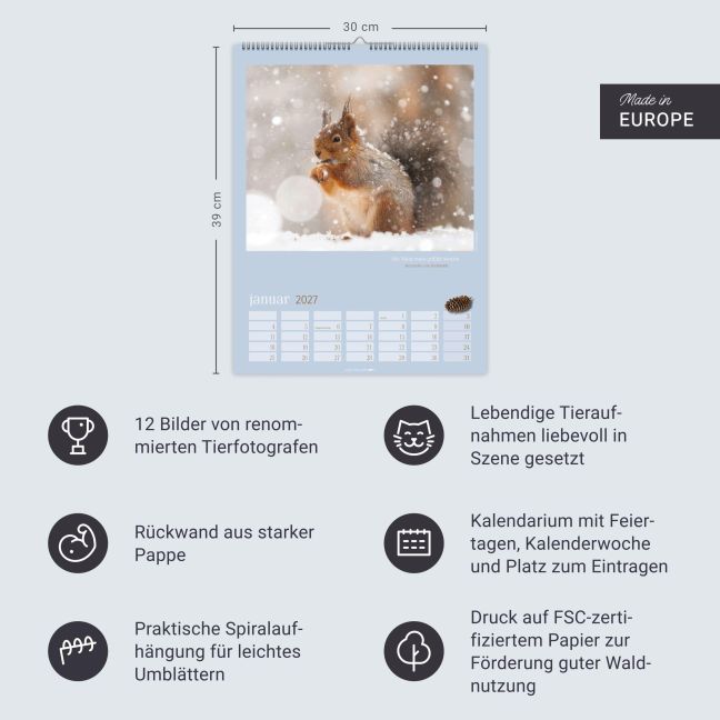 InsideView 13