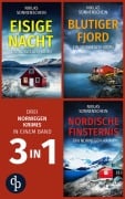 Cover-Bild zum Titel 'Eisige Nacht & Blutiger Fjord & Nordische Finsternis' von 'Niklas Sonnenschein'