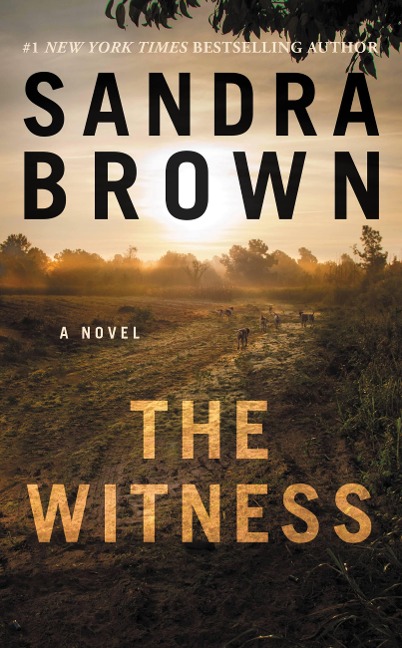 The Witness - Sandra Brown