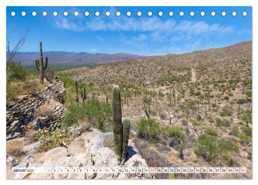 InsideView 6
