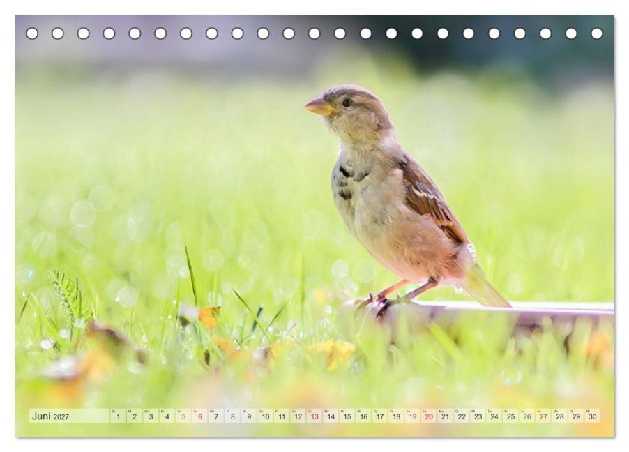 InsideView 11