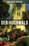 Cover-Bild zum Titel 'Der Hochwald' von 'Adalbert Stifter'
