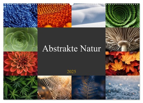 Abstrakte Natur (Wandkalender 2025 DIN A2 quer), CALVENDO Monatskalender - Susan Michel