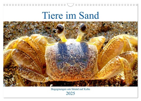 Tiere im Sand - Begegnungen am Strand auf Kuba (Wandkalender 2025 DIN A3 quer), CALVENDO Monatskalender - Henning von Löwis of Menar