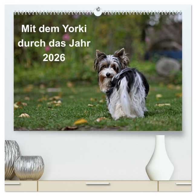 Mit dem Yorki durch das Jahr 2026 (hochwertiger Premium Wandkalender 2026 DIN A2 quer), Kunstdruck in Hochglanz - Friedhelm Bauer