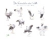  Die Kraniche der Welt