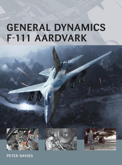 General Dynamics F-111 Aardvark - Peter E. Davies
