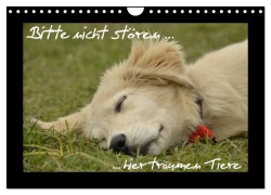Bitte nicht stören... hier träumen Tiere (Wandkalender 2026 DIN A4 quer), CALVENDO Monatskalender - Krokotraene Krokotraene