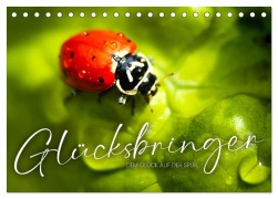 Cover-Bild zum Titel 'Glücksbringer - Dem Glück auf der Spur. (Tischkalender 2026 DIN A5 quer), CALVENDO Monatskalender' von 'Sf Sf'