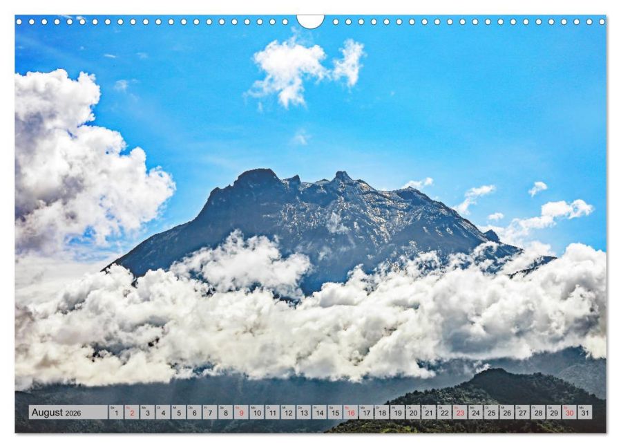 InsideView 13