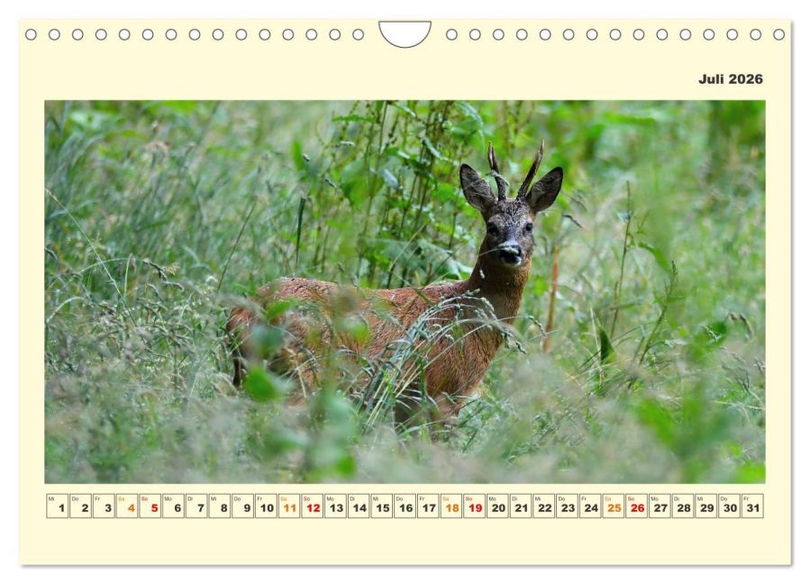 InsideView 12