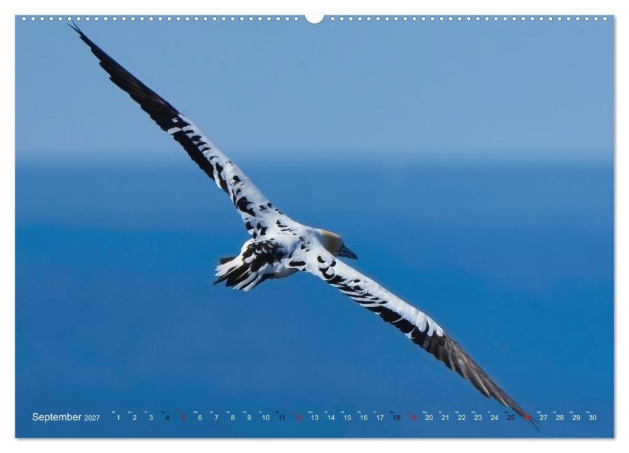 InsideView 14
