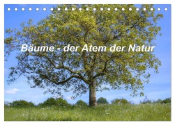 Cover-Bild zum Titel 'Bäume, der Atem der Natur (Tischkalender 2026 DIN A5 quer), CALVENDO Monatskalender' von 'Christine Wirges'