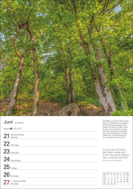 InsideView 6