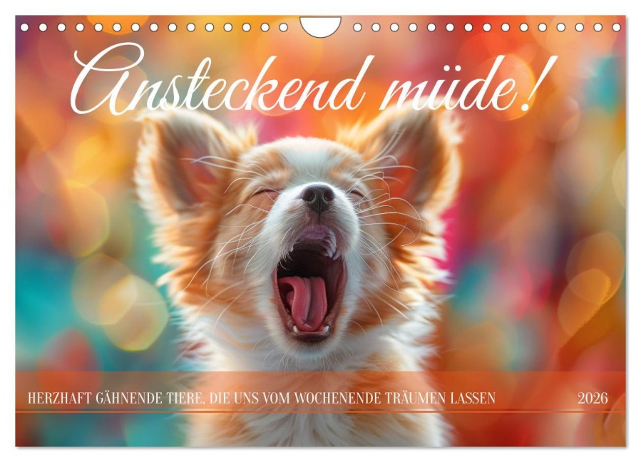 Ansteckend müde! (Wandkalender 2026 DIN A4 quer), CALVENDO Monatskalender - Kerstin Waurick