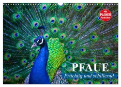 Cover-Bild zum Titel 'Pfaue. Prächtig und schillernd (Wandkalender 2026 DIN A3 quer), CALVENDO Monatskalender' von 'Elisabeth Stanzer'
