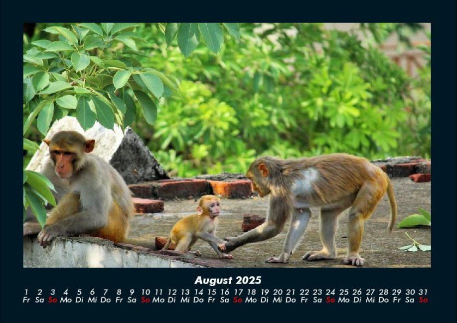 InsideView 12