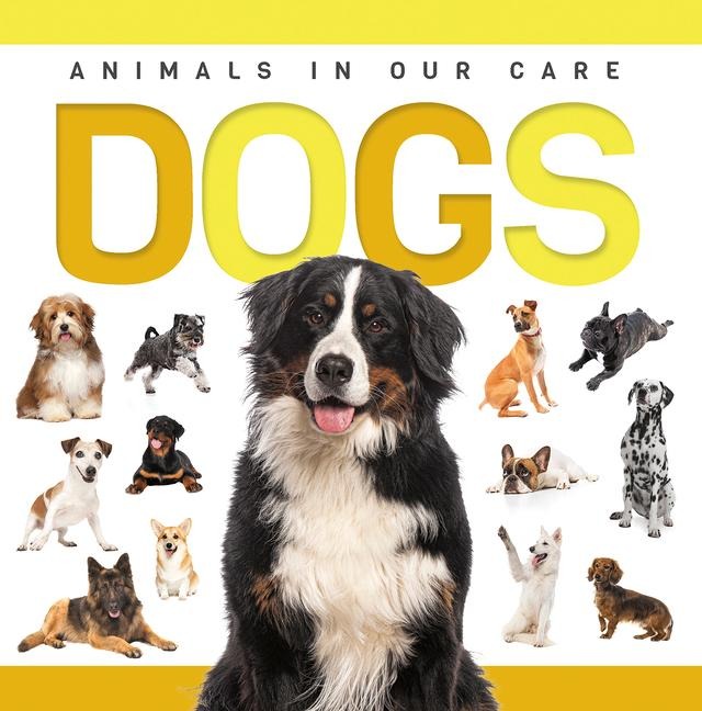 Dogs - Eliza Nodes