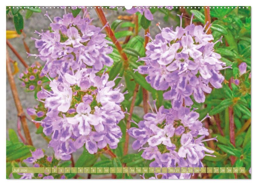 InsideView 11
